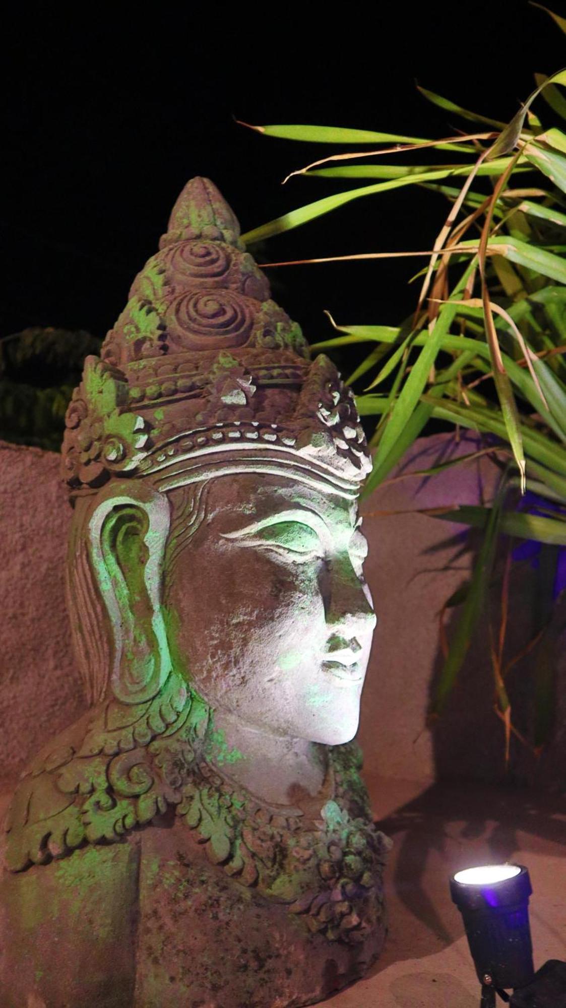 Villa Pranajaya Oasis Tejakula Esterno foto